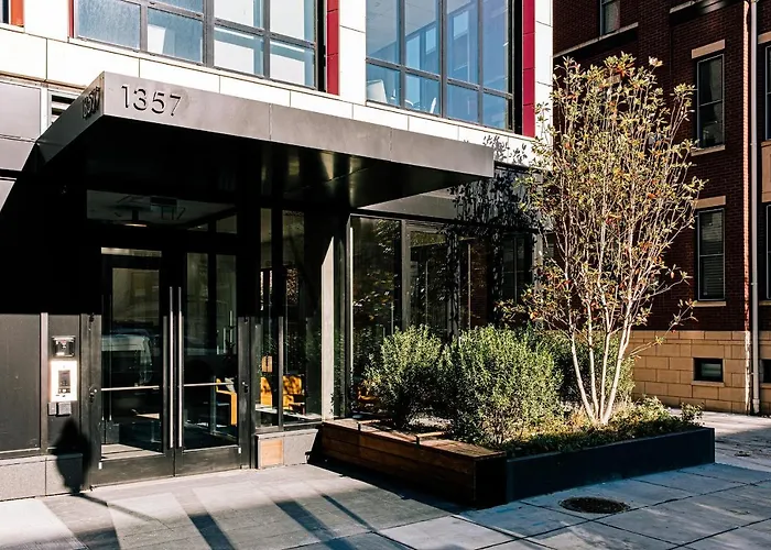 Liz By Black Swan - Dc Executive Flat Washington